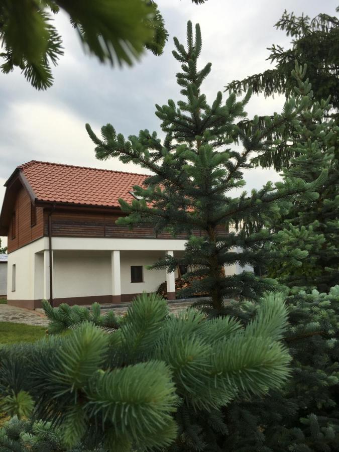 Pokoje Kasztanowa Wilkasy Extérieur photo